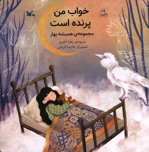 کتاب  خواب من پرنده است - مجموعه همیشه بهار انتشارات کانون پرورش فکری کودکان و نوجوانان