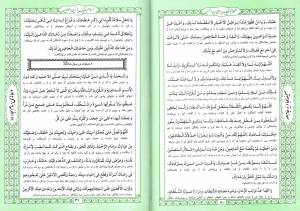 الصحیفه السجادیه الجامعه - (وزیری، سخت، سبز، ترجمه زیر، ترجمه سیدحسین محفوظی، انتشارات الحقایق)