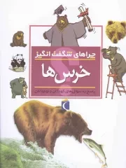 کتاب  خرس ها - چراهای شگفت انگیز (پاسخ به سوال های کودکان و نوجوانان) نشر محراب قلم