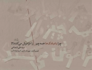 کتاب  چرا بادبادک ها همه چیز را فراموش می کنند نشر کتاب نیستان
