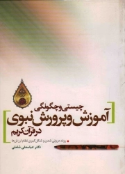 چیستی و چگونگی آموزش و پرورش نبوی در قرآن کریم - (روند درونی شدن و شکل گیری نظام ارزش ها)