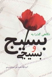 نگاهی گذرا به بسیج و بسیجی