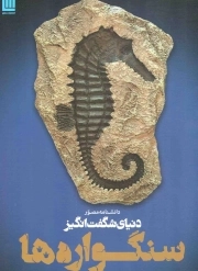 کتاب  دانشنامه مصور دنیای شگفت انگیز سنگواره ها نشر سایان
