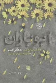 کتاب  ابو باران - (خاطرات مدافع حرم، مصطفی نجیب از حضور فاطمیون در نبرد سوریه) انتشارات خط مقدم