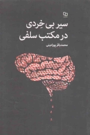 سیر بی خردی در مکتب سلفی