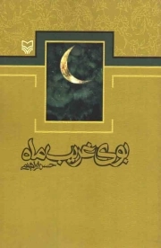 بوی غریب ماه - (مجموعه شعر)