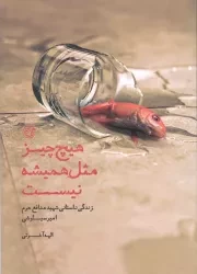 کتاب  هیچ چیز مثل همیشه نیست - ‌(زندگی داستانی شهید مدافع حرم، امیر سیاوشی) نشر روایت فتح