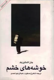 کتاب  خوشه های خشم - (داستان آمریکایی) نشر امیر کبیر