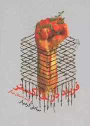 کتاب  فریاد در خاکستر - (و چند داستان دیگر) نشر کتاب نیستان