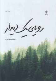 کتاب  رویای یک دیدار - (رمان) نشر عهد مانا