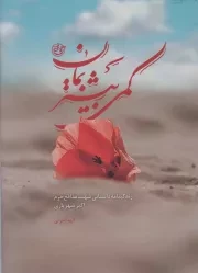 کتاب  کمی بیشتر بمان - (زندگینامه داستانی شهید مدافع حرم اکبر شهریاری) نشر روایت فتح