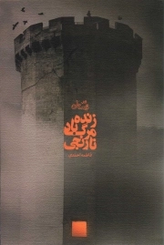 زنده باد مرگ نارنجی - (رمان)