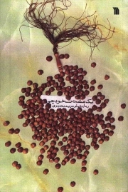 یک مشت نخودچی - (داستان های کوتاه فارسی)