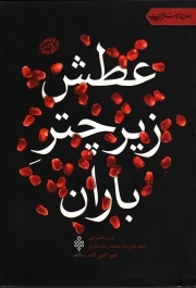 عطش زیر چتر باران - (مجموعه غزل عاشورایی)