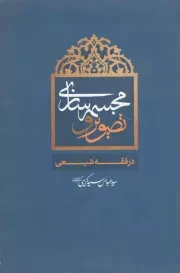 کتاب  تصویر و مجسمه سازی در فقه شیعی نشر مدرسه اسلامی هنر
