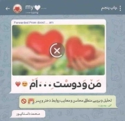 کتاب  من و دوست ... ام - (تحلیل و بررسی منطقی محاسن و معایب روابط دختر و پسر) نشر حدیث راه عشق
