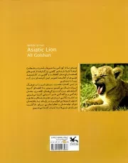 شیر آسیایی - حیات وحش ایران