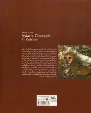یوزپلنگ آسیایی - مجموعه حیات وحش ایران 1