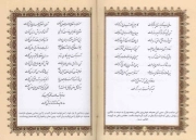 دیوان حافظ - (نیم جیبی، سخت، همراه با فالنامه کامل، انتشارات زرگان پارس) 1
