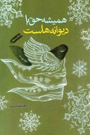 همیشه حق با دیوانه هاست - (شعر فارسی)