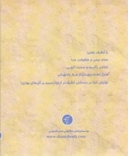 باران باش نه تگرگ