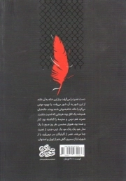 پرواز در آتش
