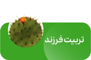 لندینگ انتشارات آیین فطرت - تربیت فرزند