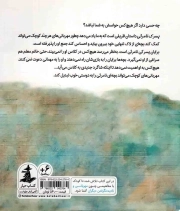 پسرک نامریی