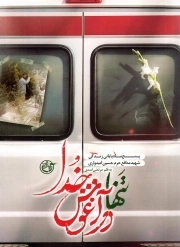 تنها در آغوش خدا - (پنج ماه پایانی زندگی شهید مدافع حرم حسین امیدواری)