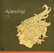 نردبان بدون پله ج02