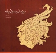 نردبان بدون پله ج03