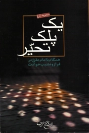 یک پلک تحیر - (همگام با امام علی علیه السلام در فراز و نشیب حوادث)