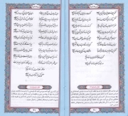 حافظ (با ساک هندوانه) - (پالتویی، سخت، ترمو، جلد رنگی، دور رنگی، داخل رنگی، همراه با فالنامه، انتشارات پیام عدالت)