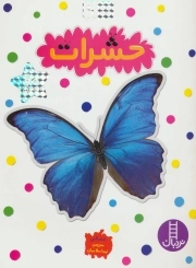 حشرات - بچسبان و بیاموز 09 (60 برچسب)