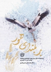 بر بلندای هور