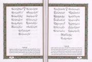 دیوان حافظ - (نیم جیبی، سخت، تحریر، 4 رنگ، ترمو، بدون قاب، انتشارات پیام عدالت)