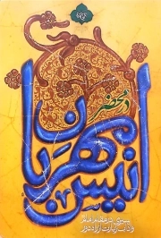 در محضر انیس مهربان - ( سیری در مقام امام و آداب زیارت از راه دور )